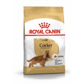 Royal Canin Cocker Adult (для породы кокер-спаниэль с 12 мес.)