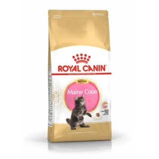 Royal Canin Kitten Maine Coon (питание для котят породы Мэйн Кун  в возрасте от 4-х до 15 месяцев)