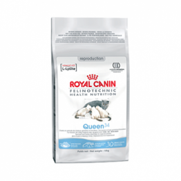 Royal Canin Queen (корм для беременных и кормящих кошек)