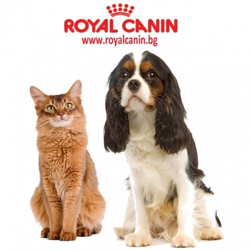 Купить Royal Canin в Витебске
