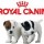 Royal Canin Лечебные (Франция)