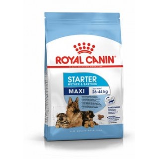 Royal Canin Maxi Starter (для беременных и кормящих сук и щенков до 2 месяцев)