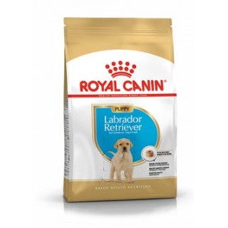 Royal Canin Labrador Retriever Junior (для щенков Лабрадора-ретривера в возрасте до 15 месяцев)