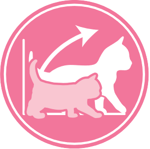 Royal Canin Kitten (корм для котят 4 -12 мес.)