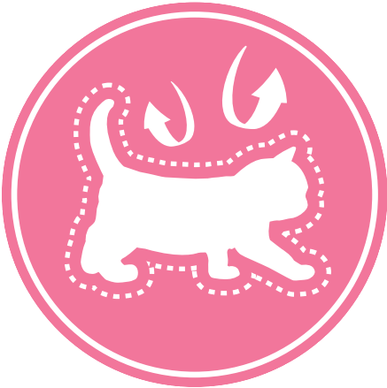 Royal Canin Mother&Babycat (корм для котят 1-4 мес.)